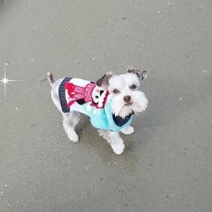 Meet your Posher, Karin